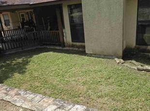 Landscaping by Toni Singsonexay for Sam R. in San Antonio, TX