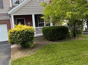 Weeding by Carmina Passagaluppi for Brandon C. in Grove City, OH