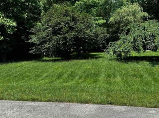 Rachel B.'s Lawn Service service result