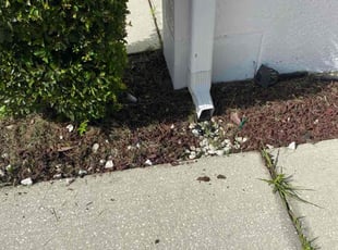 Weeding by William Chavers for Amirah A. in Riverview, FL