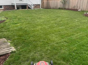 Tim B.'s Lawn Care service result
