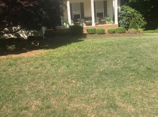 Bush Trimming by Billy Bryant for melissa C. in Clayton, NC