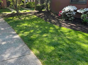 Marcus R.'s Lawn Mowing service result