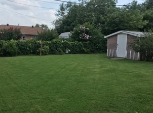 Gregory S.'s Lawn Mowing Service service result