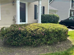 Bush Trimming by Jose Escobar for Anne E. in Woodbridge, VA