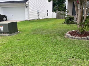 alamar R.'s Lawn Care service result