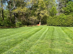 Frank T.'s Yard Cutting service result