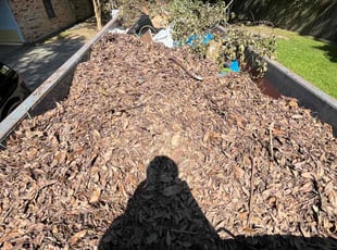 Leaf Removal by Glenwood Alexander for George L. in La fayette, LA