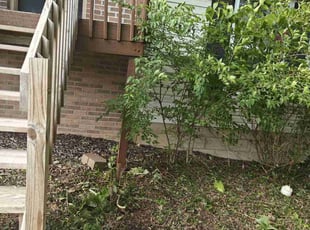 Weeding by Chris Steinhour for Theresa D. in Columbus, OH