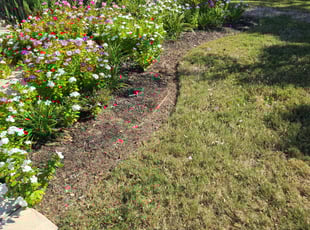 Weeding by Cody Carter for Elizabeth B. in Andice, TX