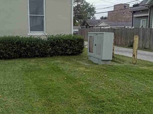 Anne S.'s Grass Cutting service result
