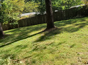 Cleanups by Anthony Massey for Cathy w. in Greensboro, NC