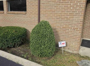 Bush Trimming by Nicholas Weber for Brandi C. in Cincinnati, OH