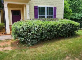 Bush Trimming by Willie P for Cameron S. in Decatur, GA