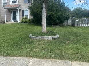 Toni / Tiwayne L.'s Yard Cutting service result
