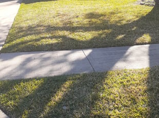 Leaf Removal by Gregorio Castruita for James H. in League City, TX
