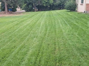 Jeffrey K.'s Grass Cutting service result