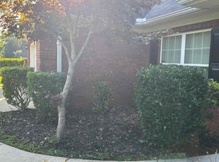 Bush Trimming by Valtoria Sears for Ashley S. in Covington, GA