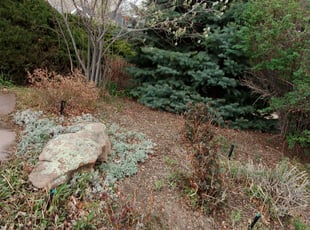 Landscaping by Tom Davis for Tessa G. in Denver, CO