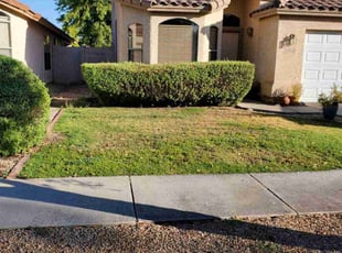 Bush Trimming by Chris Hawk for Andrew N. in Phoenix, AZ