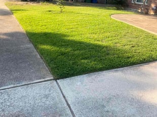 Nicole W.'s Lawn Service service result