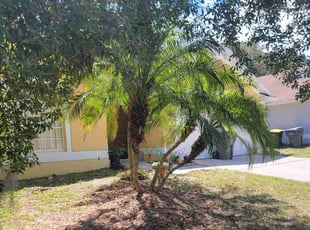 Weeding by Widalbert Ortiz for Nooshin F. in Davenport, FL