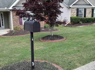 Chris H.'s Lawn Care service result