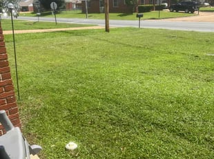 Keith P.'s Lawn Maintenance service result