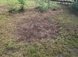 Leaf Removal by Sammuel Ellis-Johnson for Nancy P. in Richmond, VA