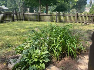 Cleanups by Jose Perea for Adrienne L. in Mequon, WI