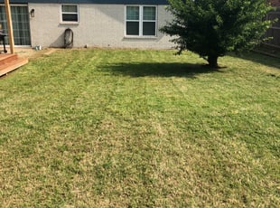 Cleanups by Shawn Seeley for Thomas a. in Oklahoma City, OK