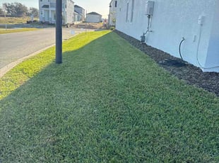 Aakash P.'s Grass Cutting service result