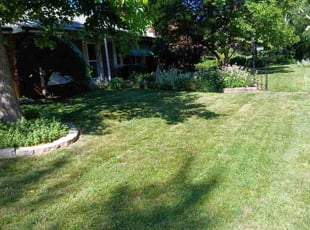 Ally N.'s Lawn Service service result