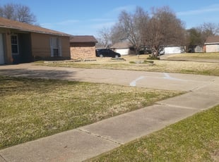 Leaf Removal by Courtney Holmes for Cynthia L. in Mesquite, TX