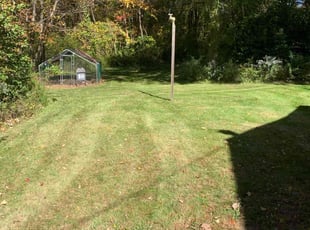 Dana S.'s Lawn Care service result