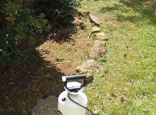 Weeding by Robert Bellino for Myra L. in Woodstock, GA