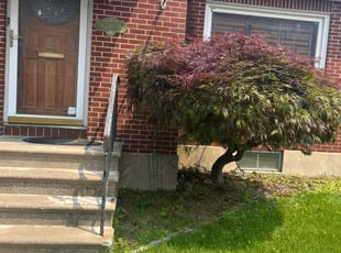 Bush Trimming by Carlos Vazquez for Efrain L. in Nazareth, PA