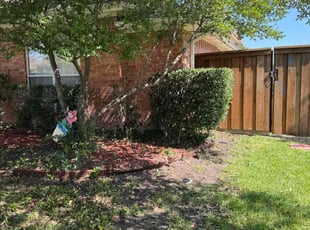 Bush Trimming by Maria Hernandez for Brittney M. in Plano, TX