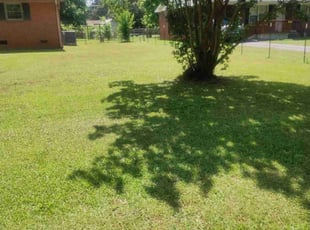 Alicia V.'s Grass Cutting service result