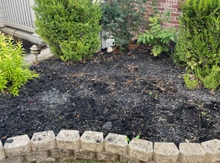 Weeding by Alexus Cooley for Chase S. in Indianapolis, IN
