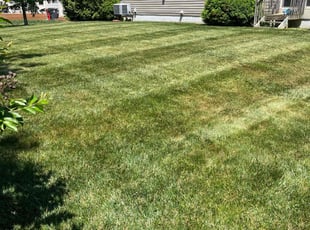 Mary M.'s Lawn Mowing Service service result