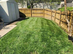 Christian F.'s Lawn Care service result