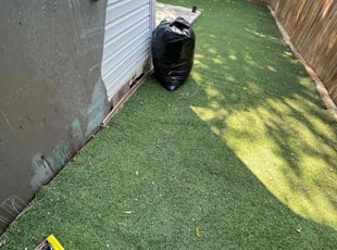 Leaf Removal by Gabriel Sosa for Rachel T. in San Antonio, TX