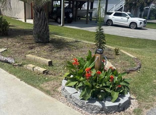 Weeding by Bryan Maximin for Dr B. in Carolina Beach, NC