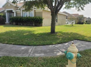 brenda S.'s Yard Cutting service result