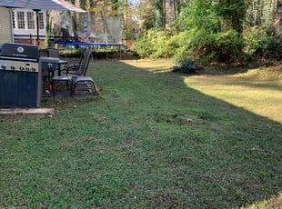 Leaf Removal by Jamel Evans for Cynthia G. in Henrico, VA