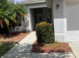 Bush Trimming by Jim Jones IV for Travis M. in Riverview, FL