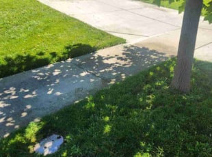 Alaina J.'s Lawn Service service result