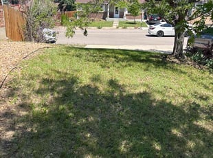 Leaf Removal by Joshua Hines for Jennifer P. in Aurora, CO