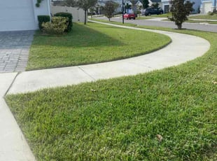 Armina F.'s Lawn Service service result